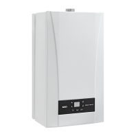 Котел газовый ECO Nova 31 F
