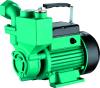 Насос WZB 750T1, 0,75 кВт, 220 В, 50 Гц, 1"-1", чугун, 6 бар, 60 С, SHIMGE, WZB750T1, шт